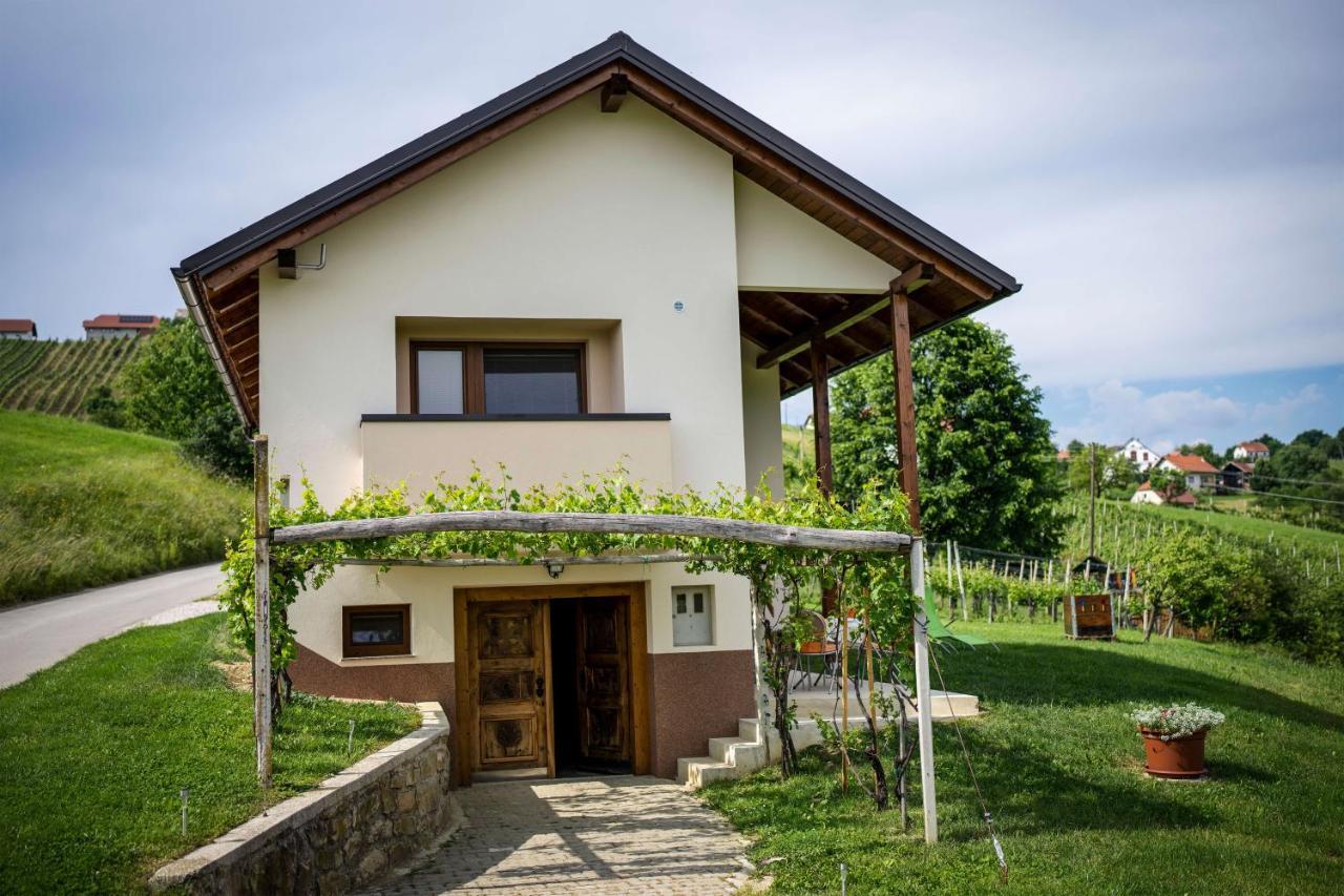 Holiday House Zlacka Gorca Pristava pri Mestinju Экстерьер фото