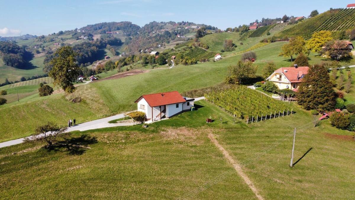 Holiday House Zlacka Gorca Pristava pri Mestinju Экстерьер фото
