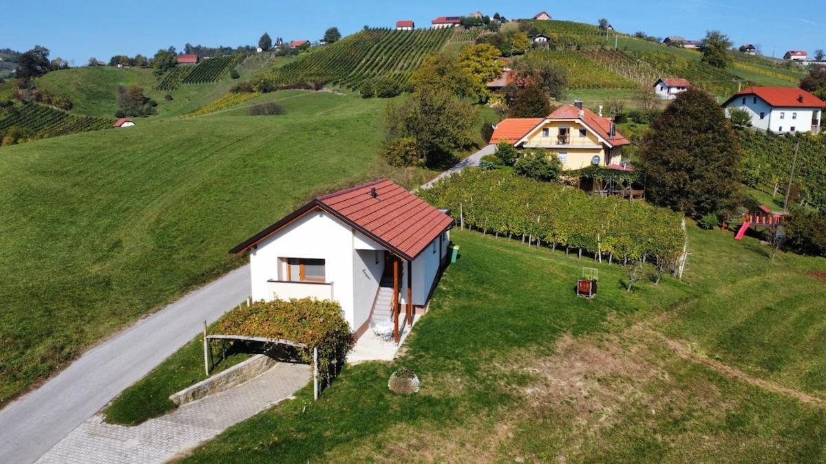 Holiday House Zlacka Gorca Pristava pri Mestinju Экстерьер фото