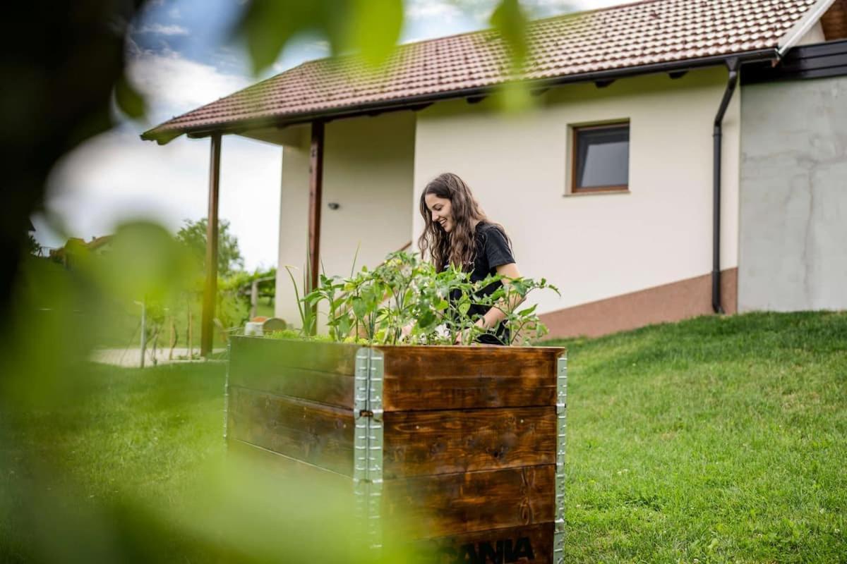 Holiday House Zlacka Gorca Pristava pri Mestinju Экстерьер фото